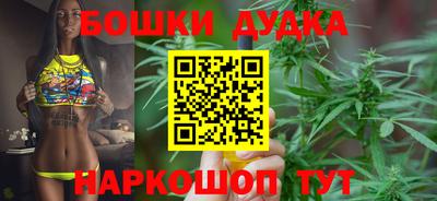 тгк Шебекино