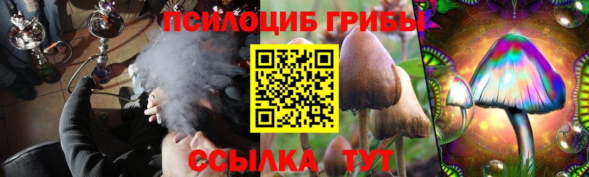 Галлюциногенные грибы прущие грибы  Вход с VPN  Боровичи 