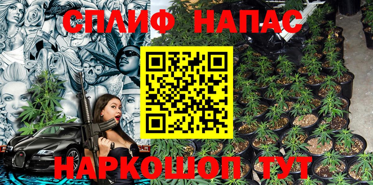 Бошки Шишки гибрид  МАРИХУАНА SATIVA & INDICA  МАРИХУАНА LSD WEED  Бошки марихуана ГИДРОПОН  Боровичи  Вход с VPN 